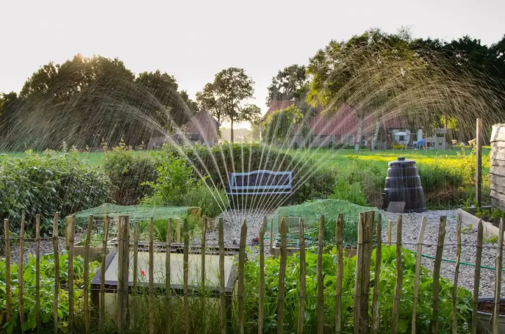 Sprinkler system installed by Singletary Plumbing in Surprise Arizona