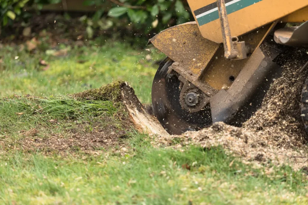 Excavator digging trench for sewer line replacement in Surprise